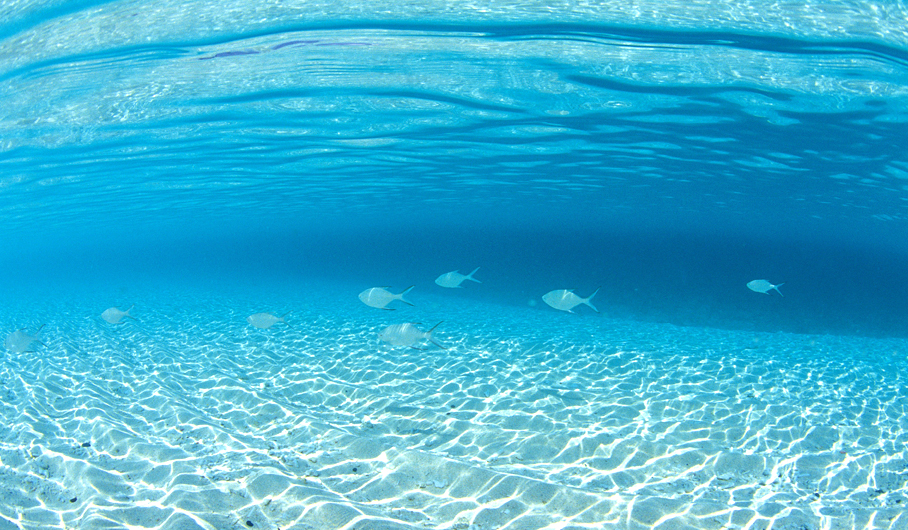 美ら海